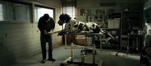Foto: "Dogman" Official Trailer